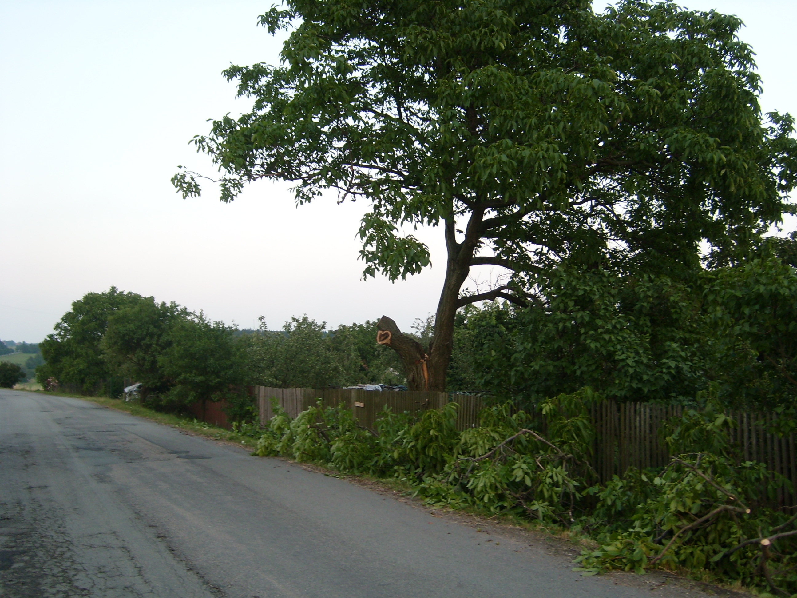 SL270152.JPG