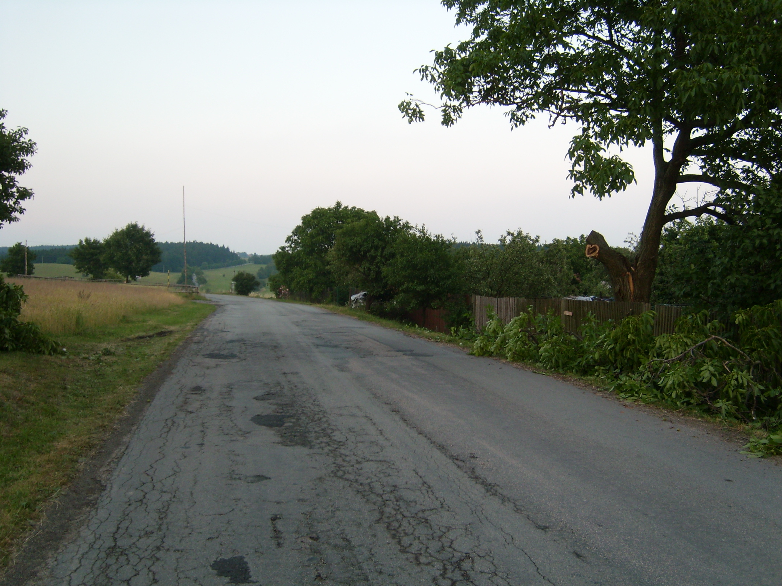 SL270154.JPG