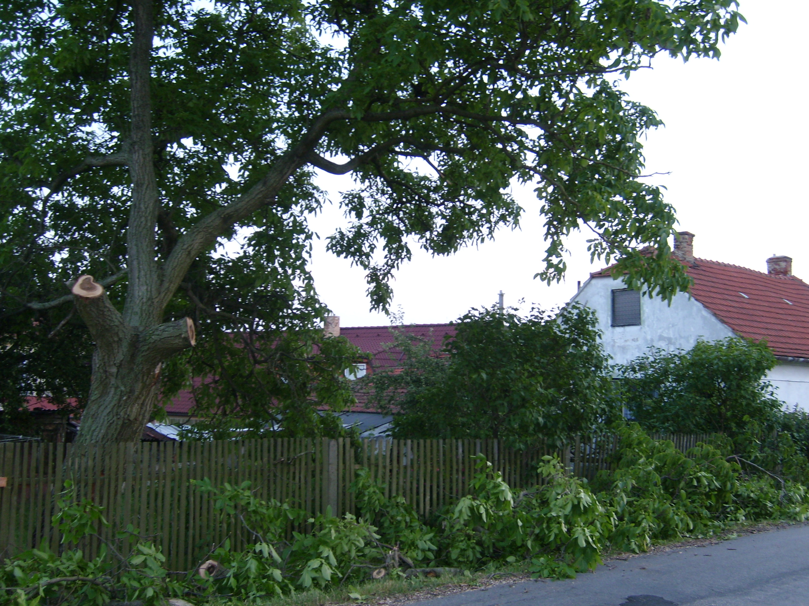 SL270155.JPG