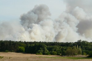 bzenec5.jpg